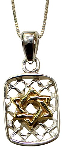 Silver Star of David Dog Tag Necklace With Gold Plating - Chain 18 inch Pendant 5/8 inch H Â 3/8 inch W
