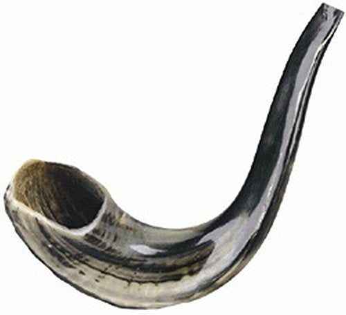 Ultimate Judaica Kosher Shofar Ram's Horns - Shofar Size #4 - 15.5 inch - 17.5 inch