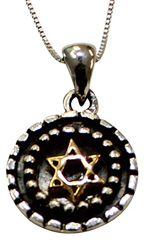 Silver Star of David Necklace With Gold Plating - Chain 18 inch Pendant 1/2 inch D