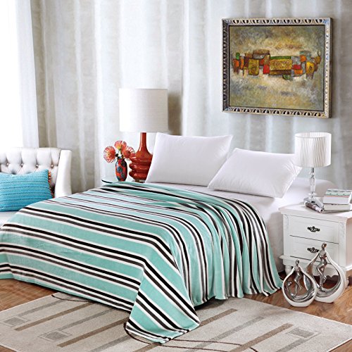 Ben&Jonah Designer Plush Full Lauren Micro Fleece Jacquard Blanket -Aqua Stripe