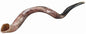 Ultimate Judaica Kosher Shofar Yemenite Horns - Shofar Size Sm - 24 inch -27 inch 