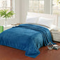 Ben&Jonah Designer Plush Queen (86 inch  x 86 inch ) Leaf Etched Jacquard Blanket - Blue