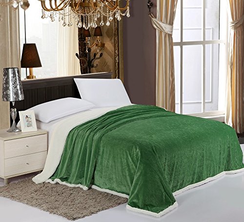 PlushComfort Luxurious Reversible Sherpa Lining Carved Velboa Comforter - Queen (Garden Green)