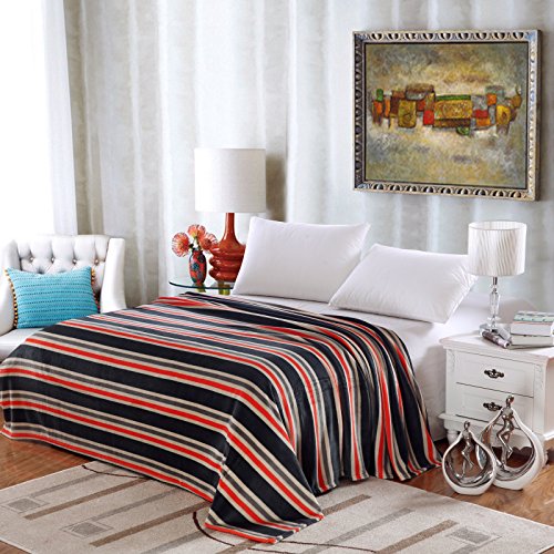 Ben&Jonah Designer Plush Queen LaurenÂ Micro Fleece Jacquard Blanket -Black Stripe