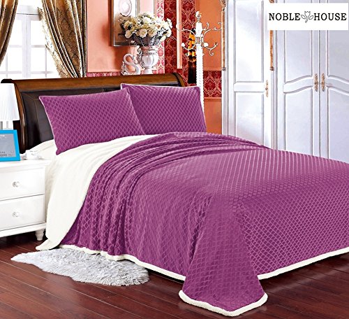 Cozy Home Ultra Soft Reversible Queen Blanket with Sherpa Lining - Mauve