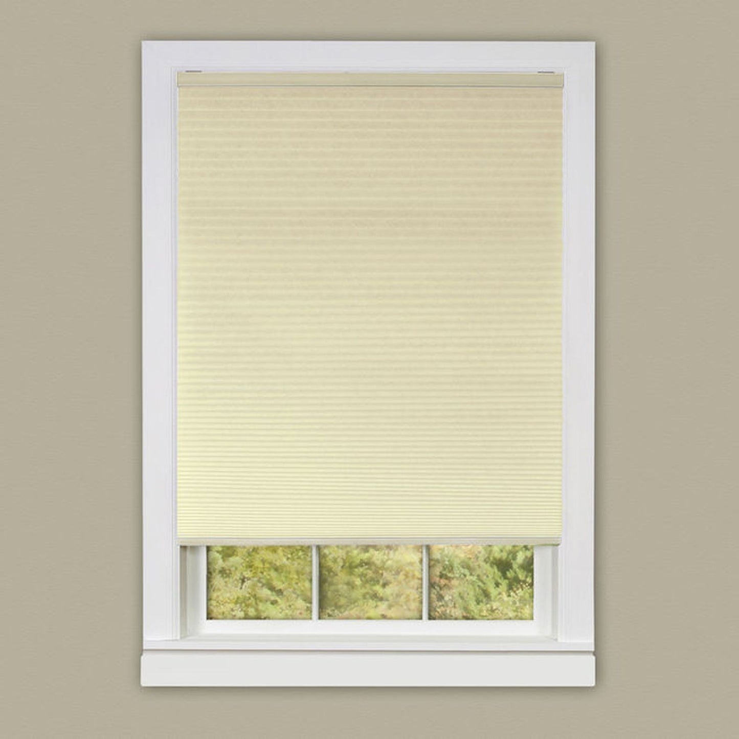 Traditional Elegance Cordless Honeycomb Cellular Pleated Shade 45x64 - Alabaster
